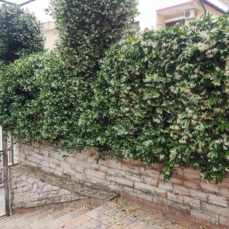 Apartments Orange Budva Luaran gambar